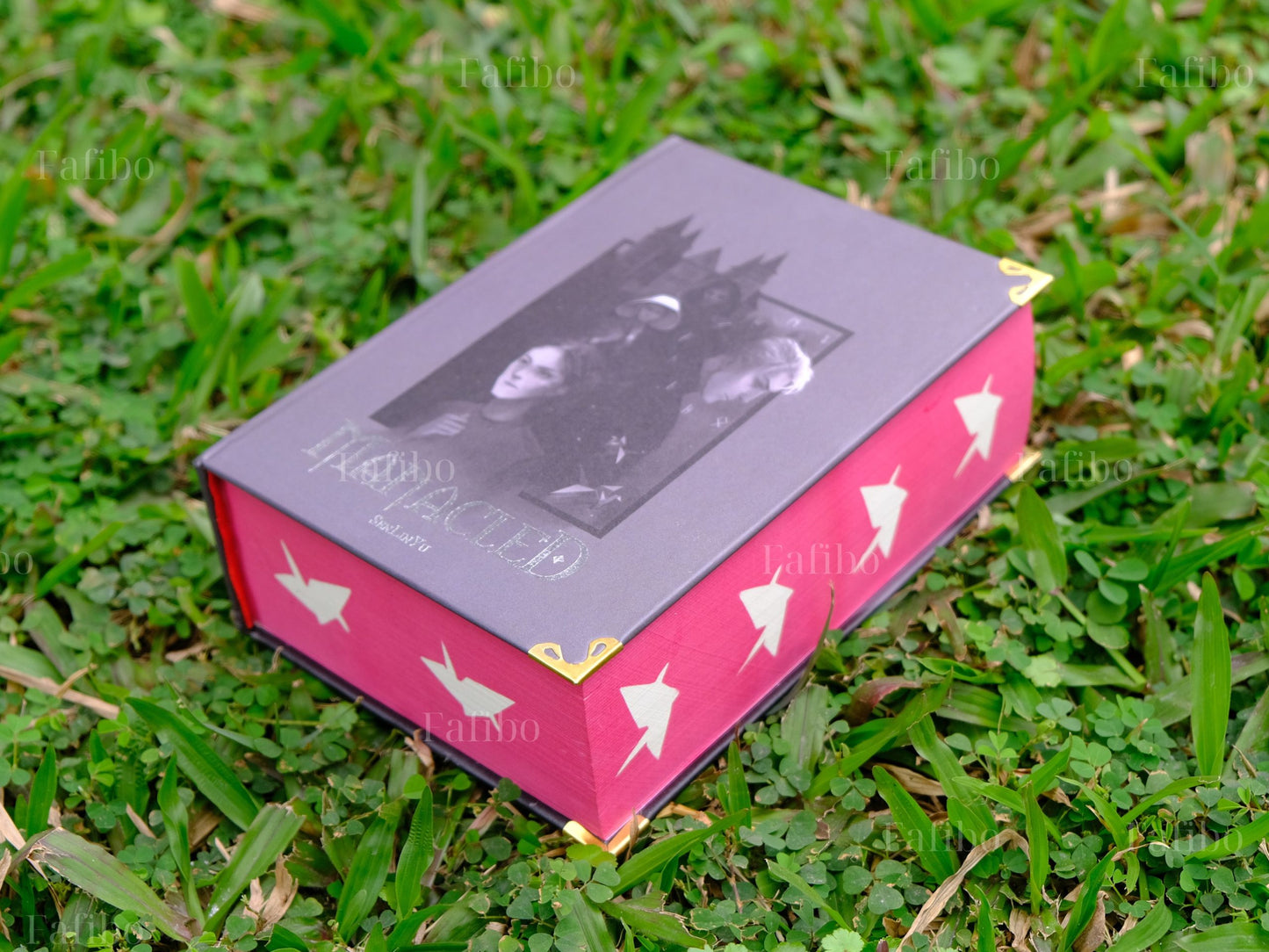 Manacled Luxury Limited Edition | 3-in-1 Hardcover Binding with Unique Hand-Painted Edges | Dramione Collector’s Book