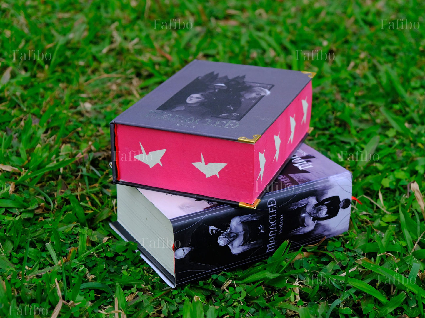Manacled Luxury Limited Edition | 3-in-1 Hardcover Binding with Unique Hand-Painted Edges | Dramione Collector’s Book