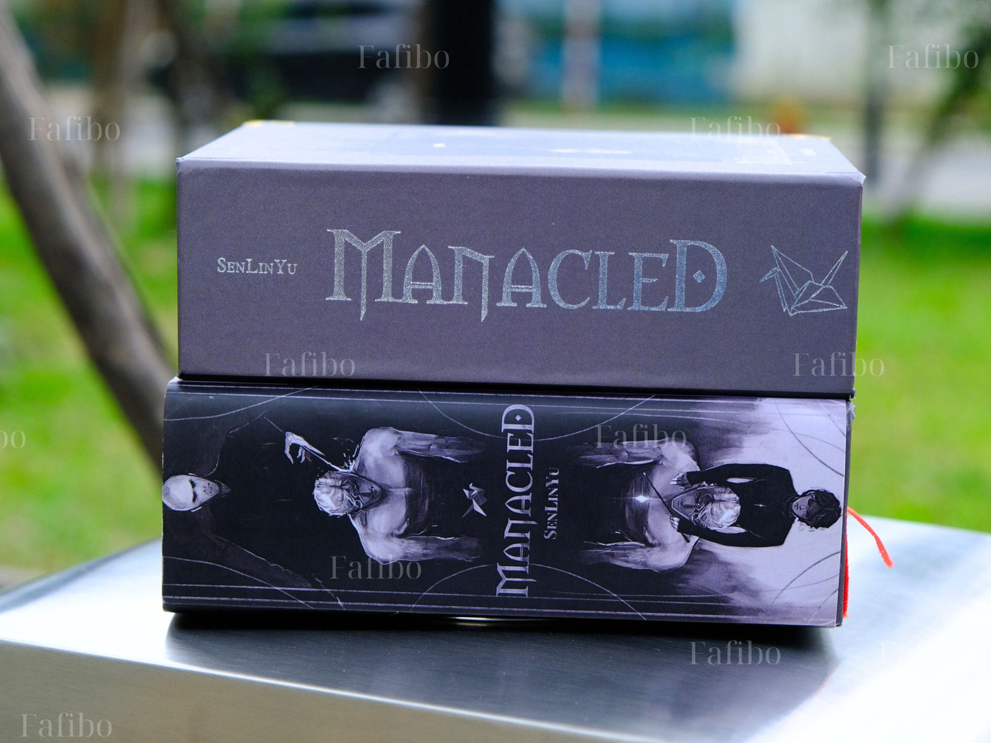 Manacled Luxury Limited Edition | 3-in-1 Hardcover Binding with Unique Hand-Painted Edges | Dramione Collector’s Book
