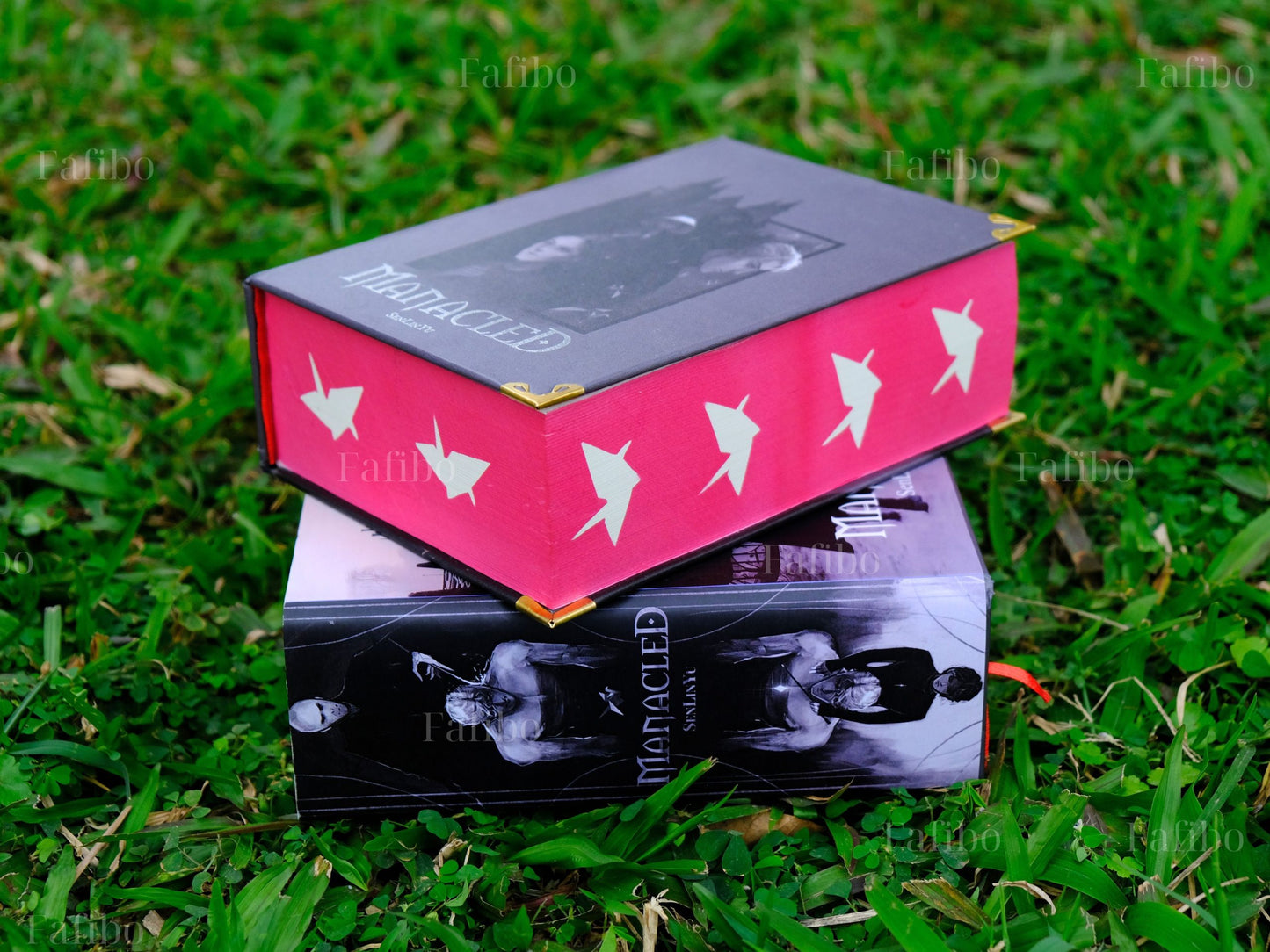 Manacled Luxury Limited Edition | 3-in-1 Hardcover Binding with Unique Hand-Painted Edges | Dramione Collector’s Book