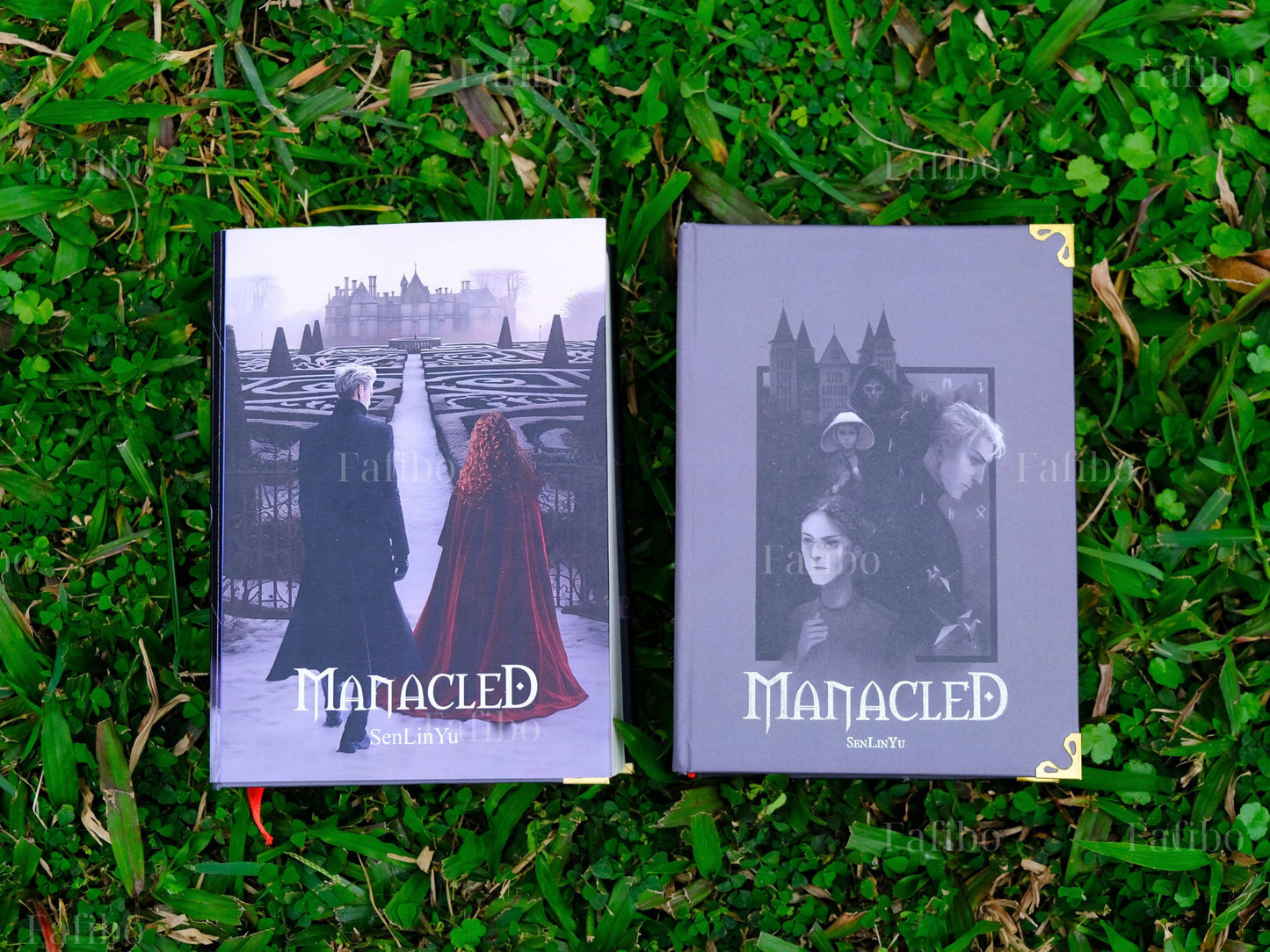 Manacled Luxury Limited Edition | 3-in-1 Hardcover Binding with Unique Hand-Painted Edges | Dramione Collector’s Book