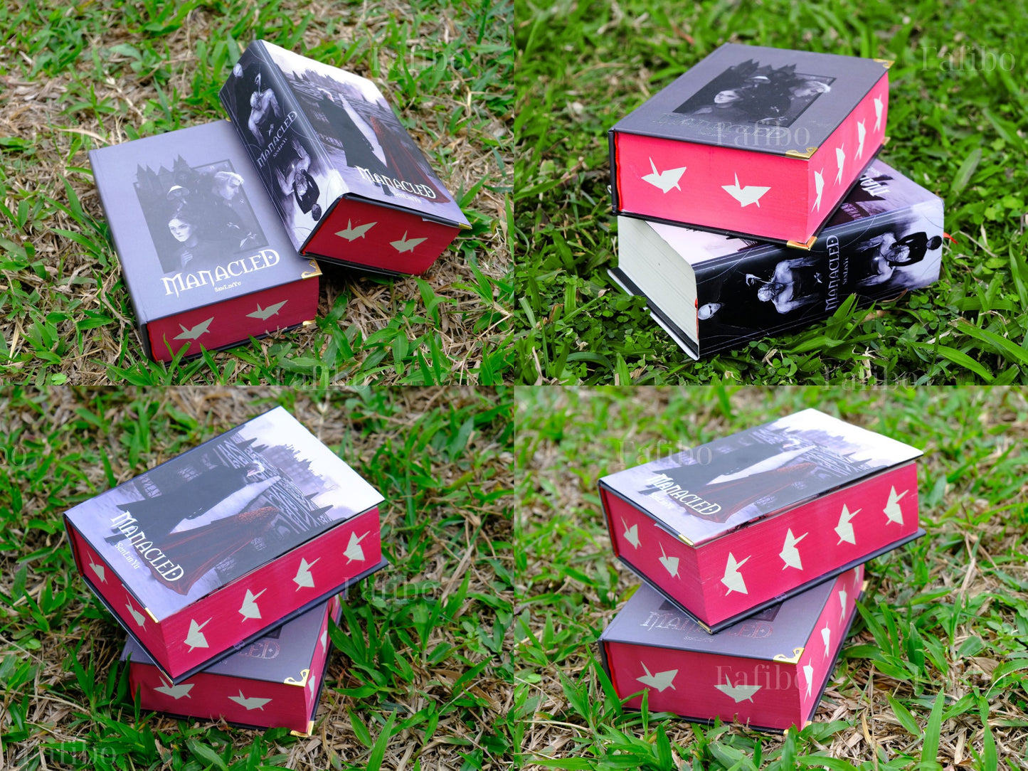Manacled Luxury Limited Edition | 3-in-1 Hardcover Binding with Unique Hand-Painted Edges | Dramione Collector’s Book